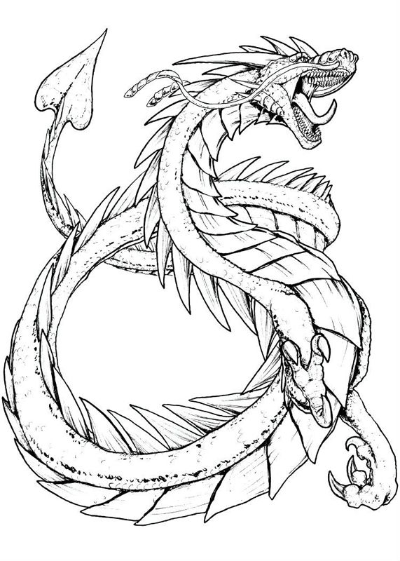 Dragoni