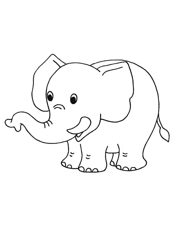 Elefanti