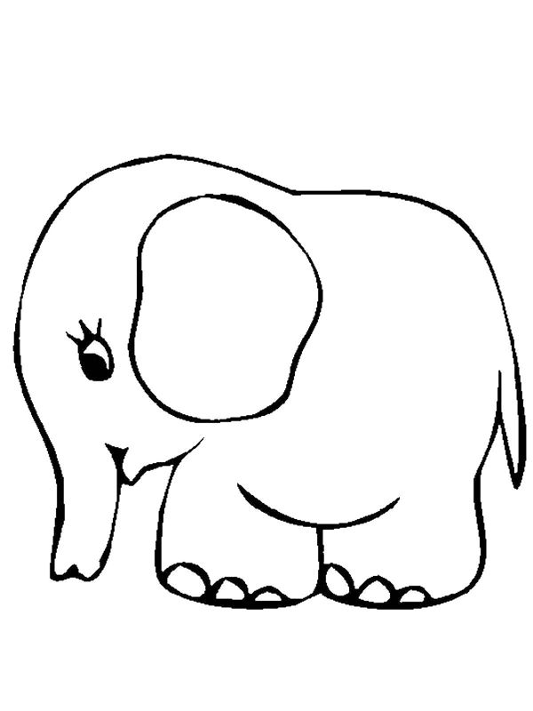 Elefanti