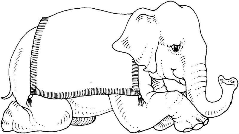 Elefanti