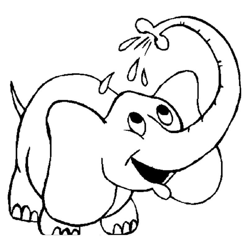 Elefanti