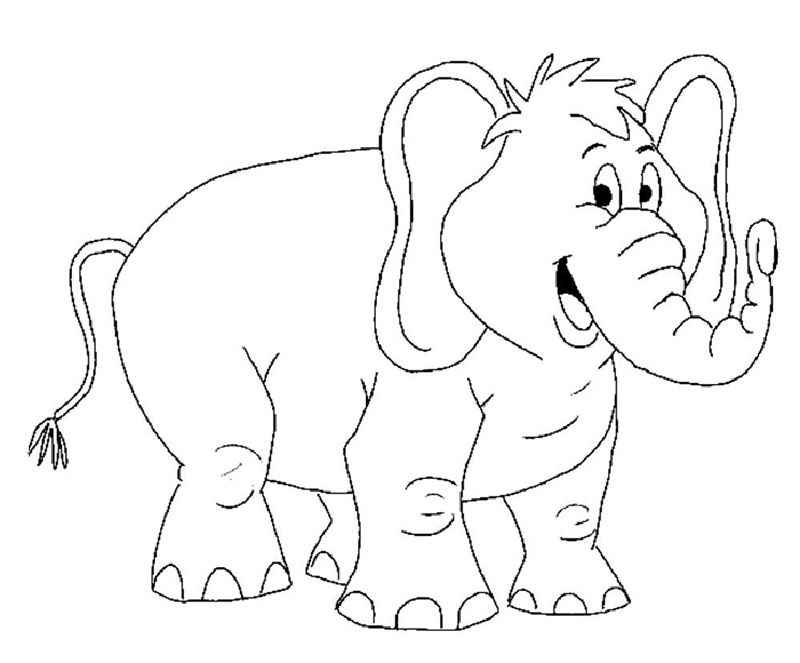 Elefanti