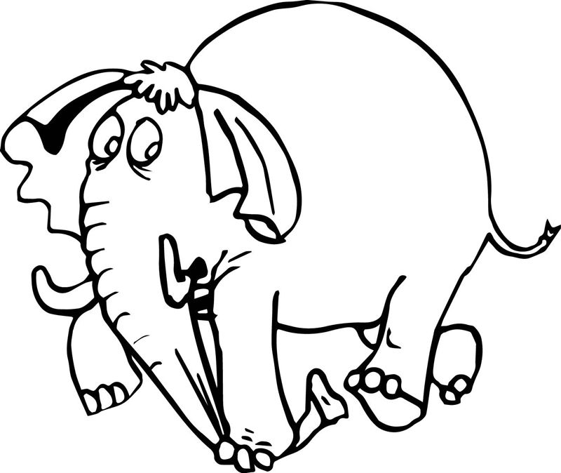 Elefanti