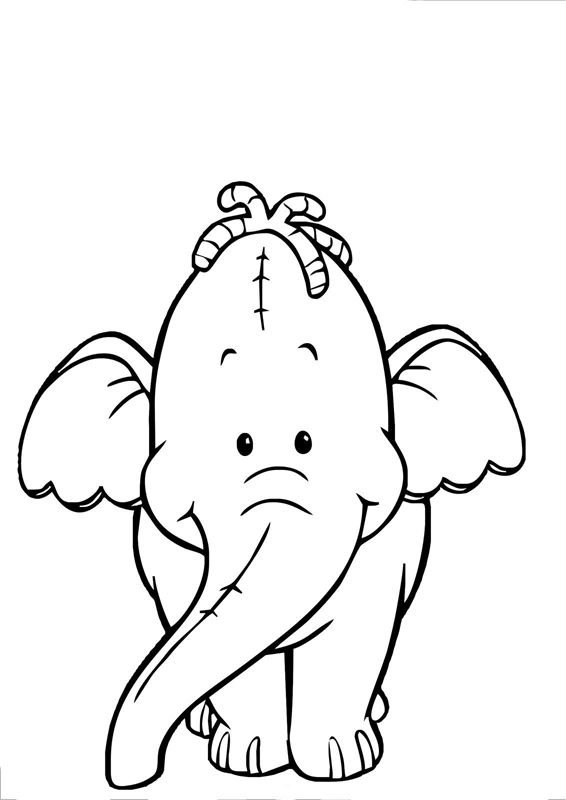 Elefanti
