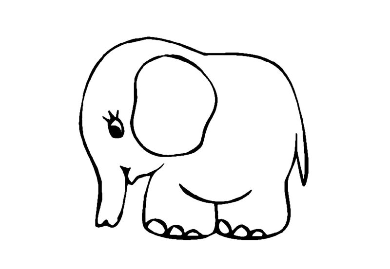 Elefanti