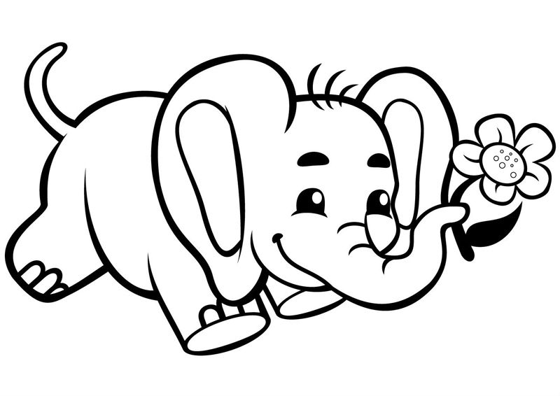 Elefanti