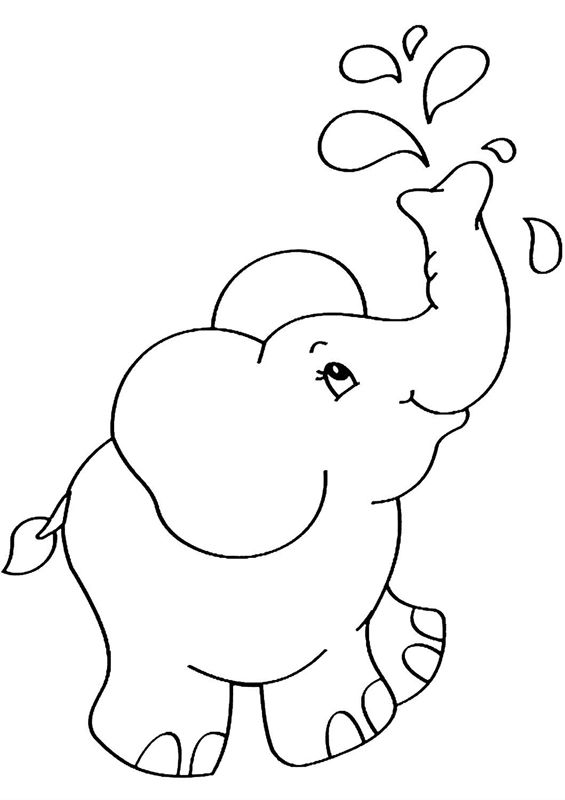 Elefanti