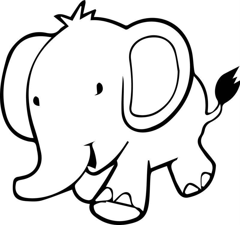 Elefanti