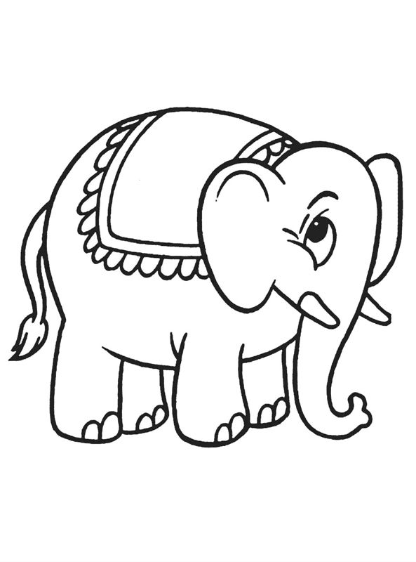 Elefanti