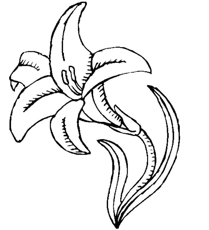Crini