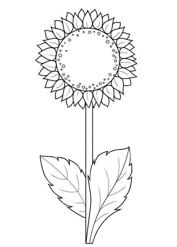 Floarea soarelui