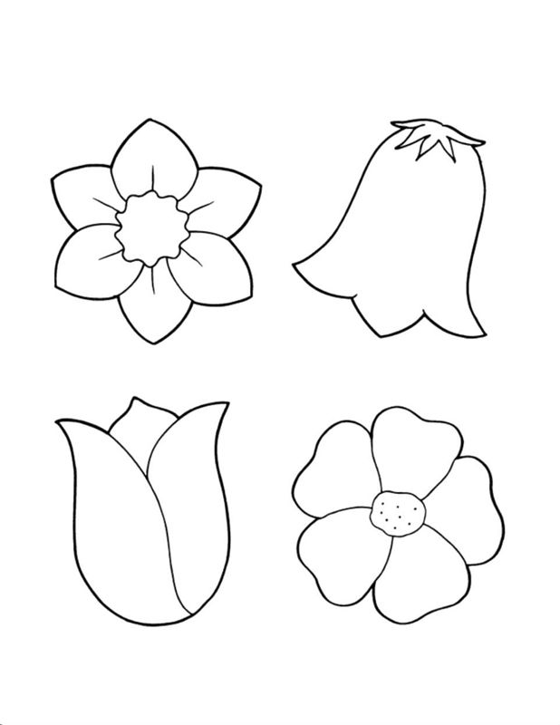 Flori clopotei