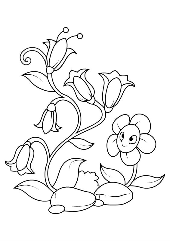 Flori clopotei