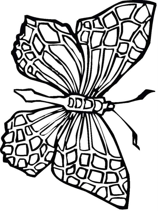 Fluturi