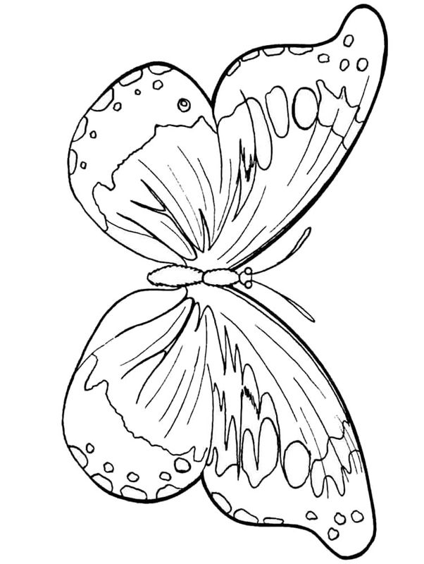 Fluturi