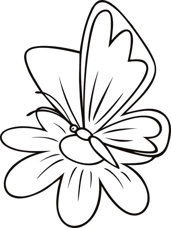 Fluturi
