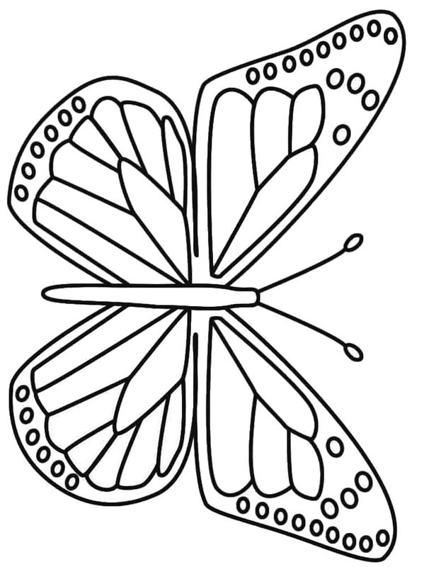 Fluturi