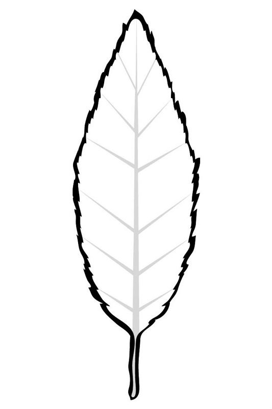 Frunze