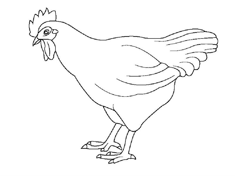 Gaini