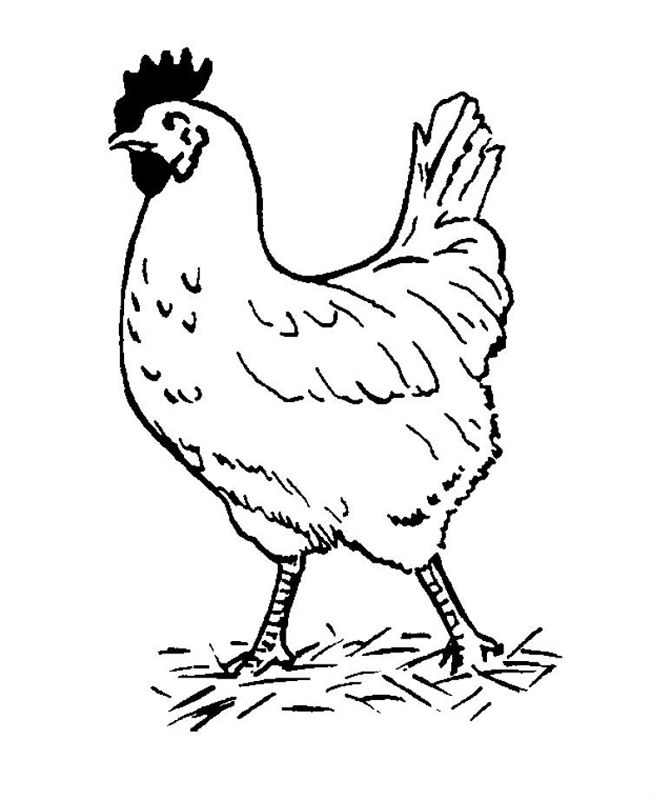 Gaini