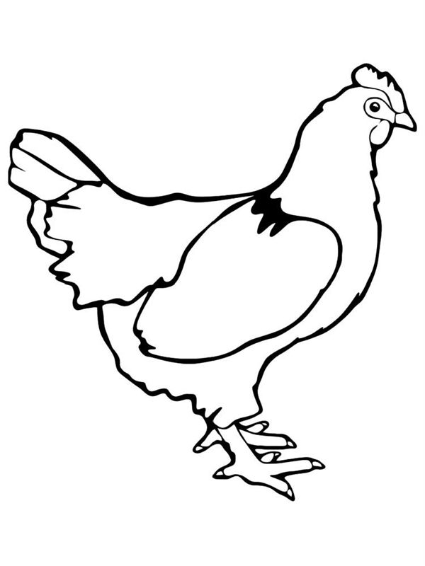 Gaini