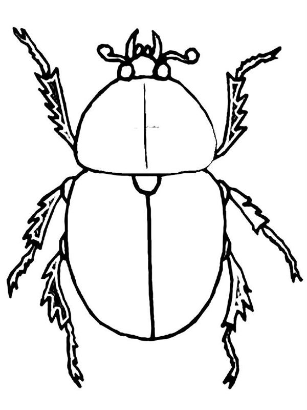 Gandaci