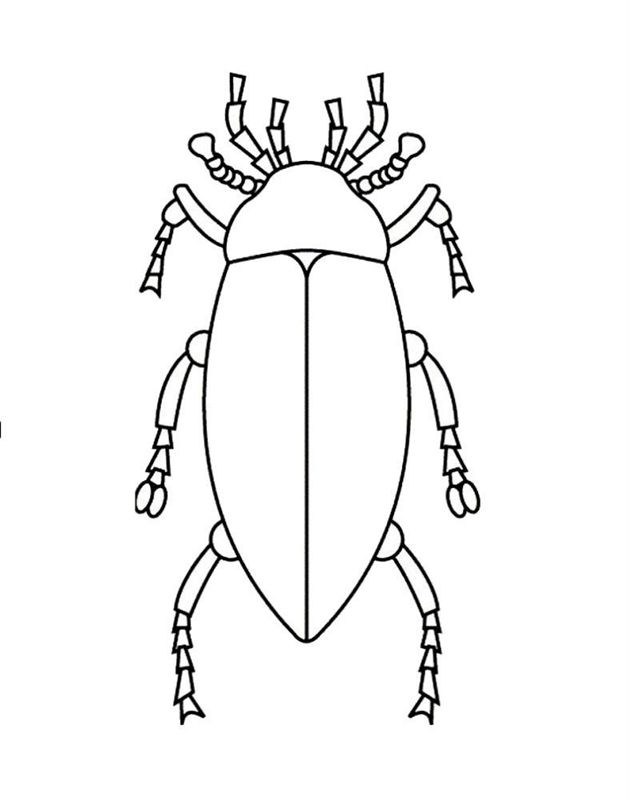 Gandaci