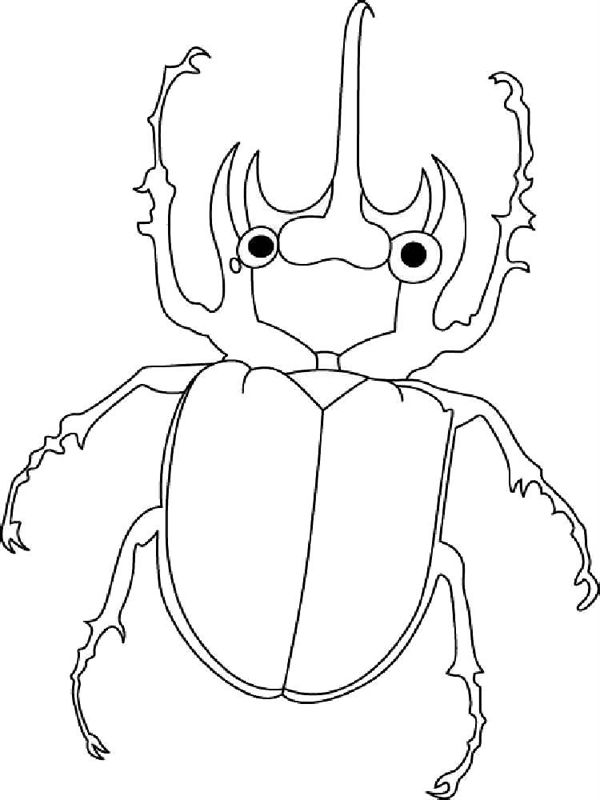 Gandaci
