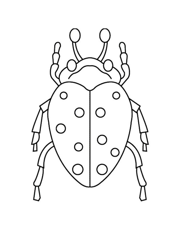 Gandaci