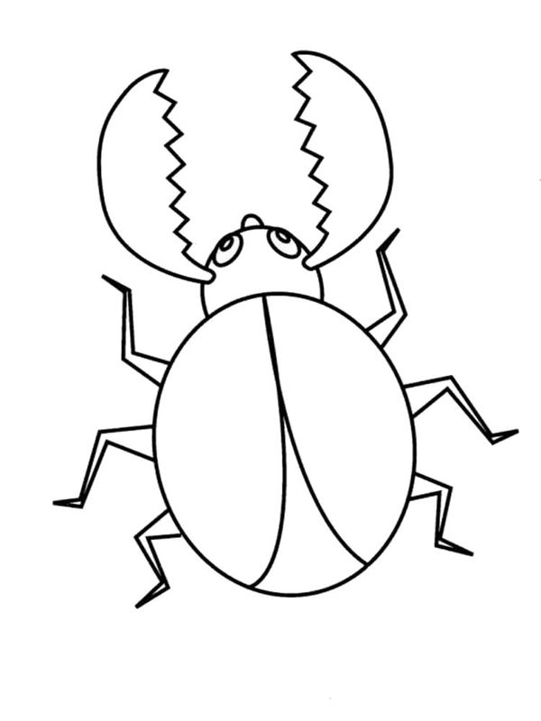 Gandaci