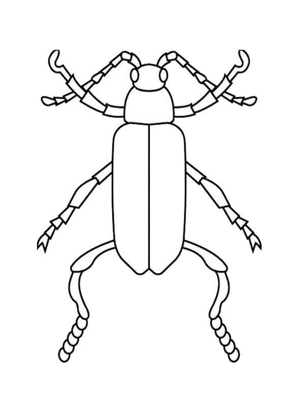 Gandaci