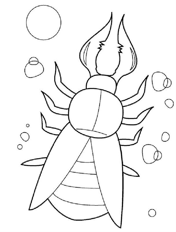 Gandaci