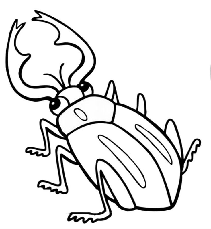 Gandaci
