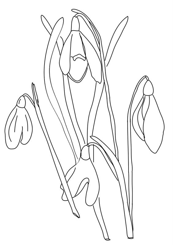 Ghiocei