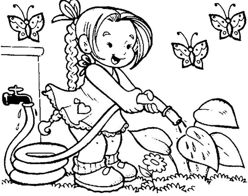 Gradina de legume