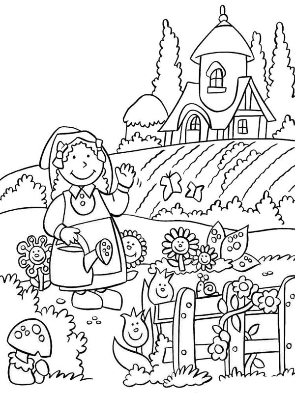 Gradina de legume