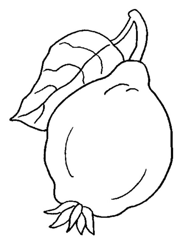 Gutui