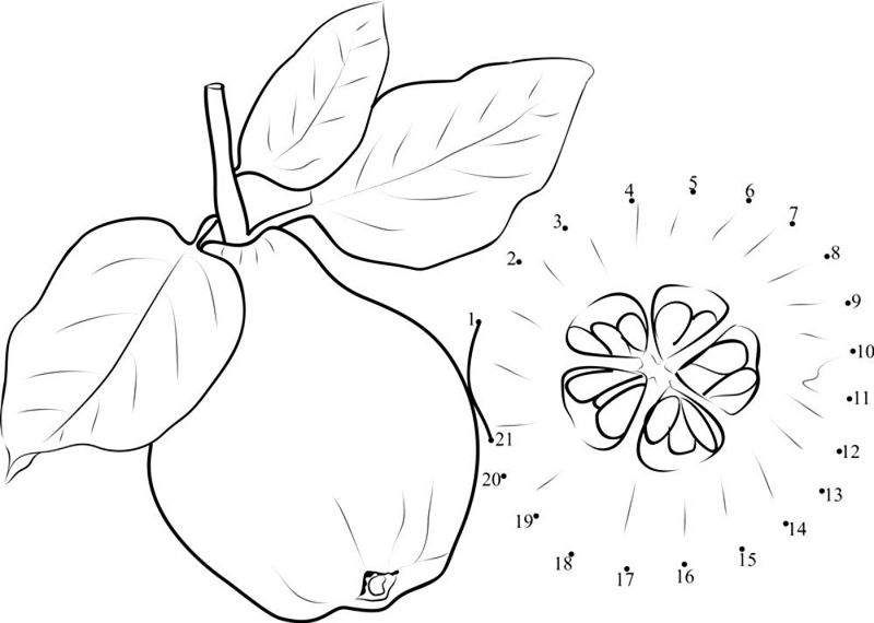 Gutui