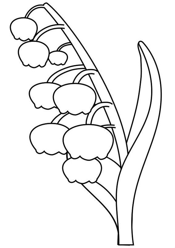 Lacramioare
