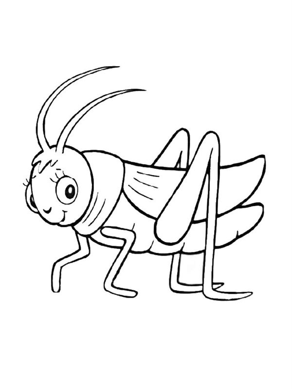 Lacuste