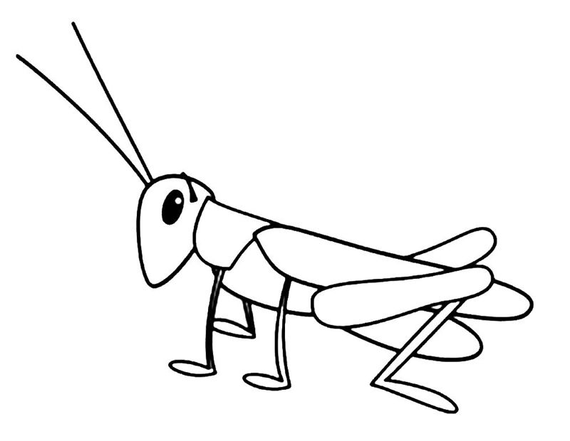 Lacuste