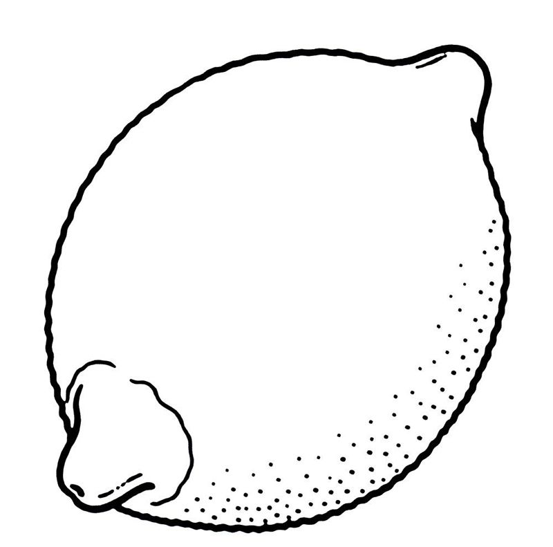 Lamaie