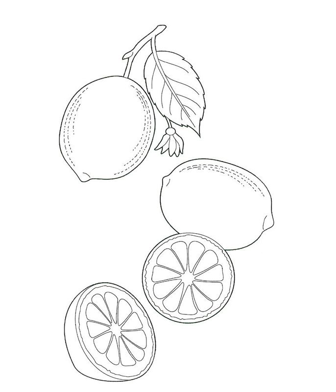 Lamaie