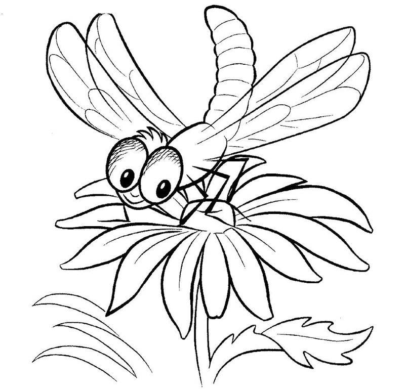 Libelule
