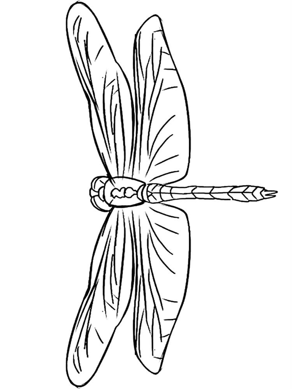 Libelule