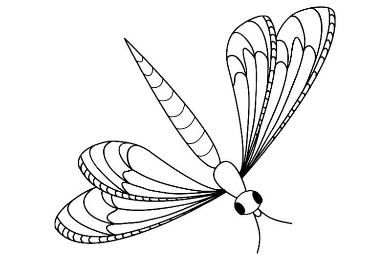 Libelule