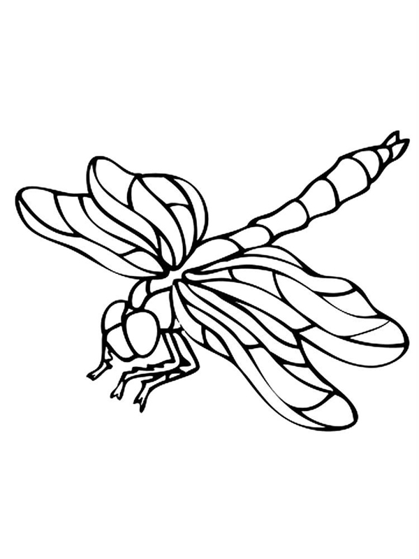 Libelule