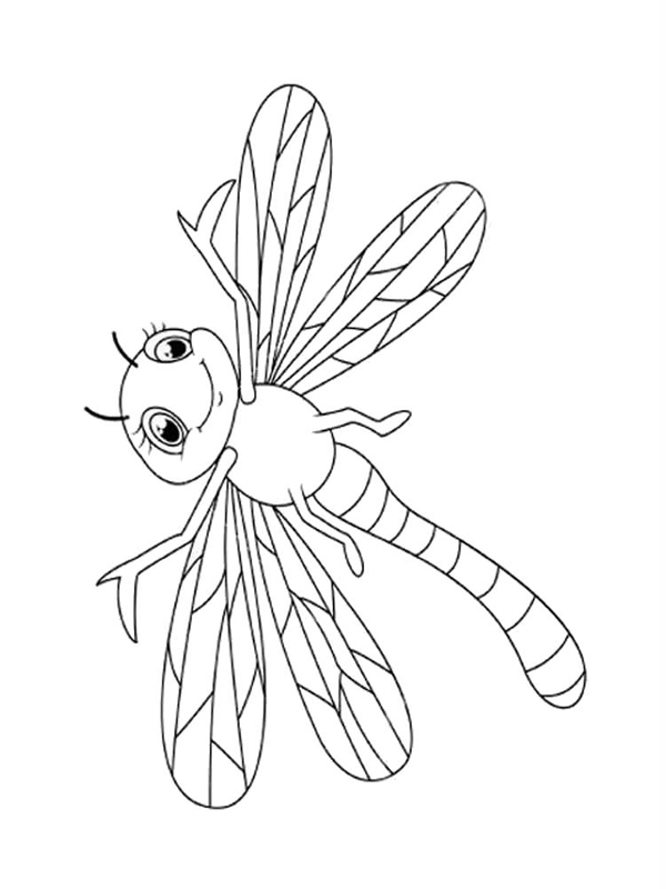Libelule