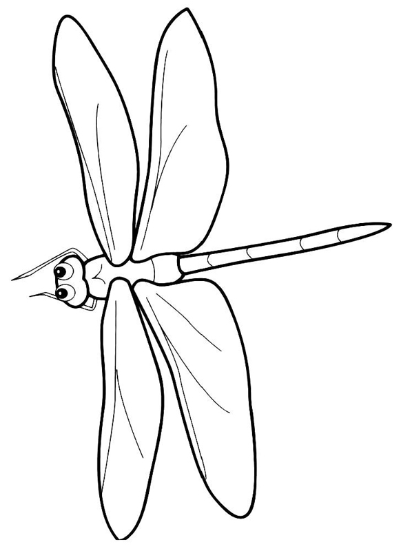 Libelule