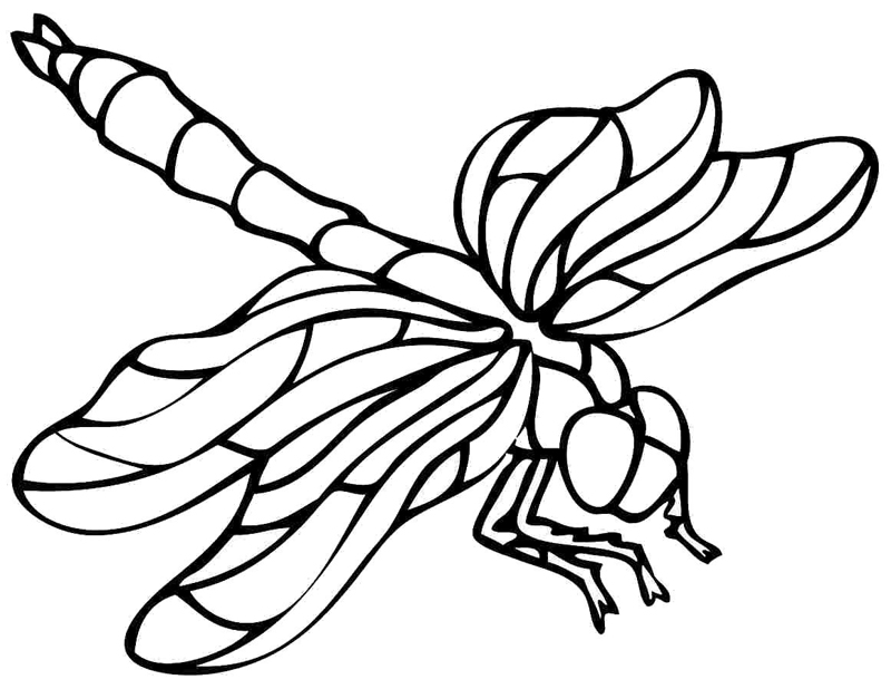 Libelule